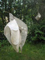 les cocons (Laurence Garnesson)